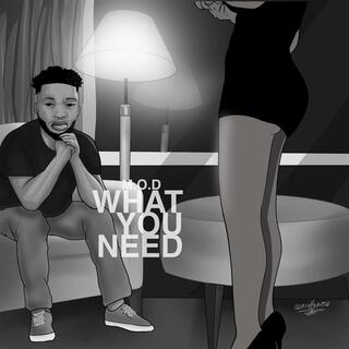 What You Need