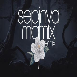 Sepinya Malam (Remix)