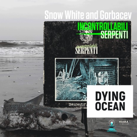 Dying Oceans | Boomplay Music