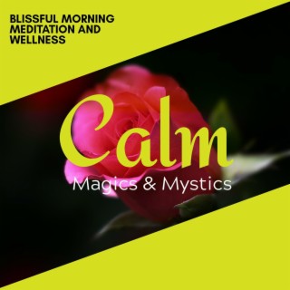 Blissful Morning Meditation and Wellness
