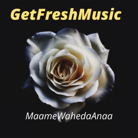 Maame Washɛda Anaa | Boomplay Music