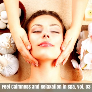 Feel Calmness and Relaxation in Spa, Vol. 03