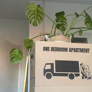 one bedroom apartment lyrics | Boomplay Music