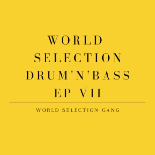 World Selection Drum'n'Bass EP VII