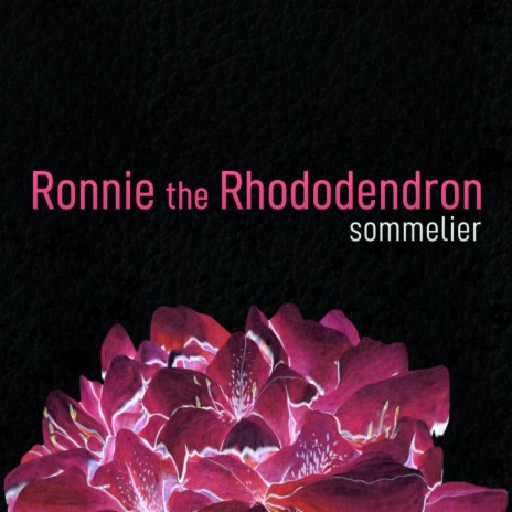 Ronnie the Rhododendron (Quarantine Version) | Boomplay Music