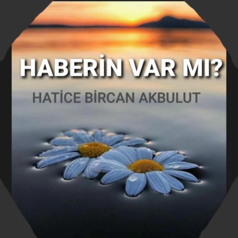 HABERİN VAR MI ? | Boomplay Music