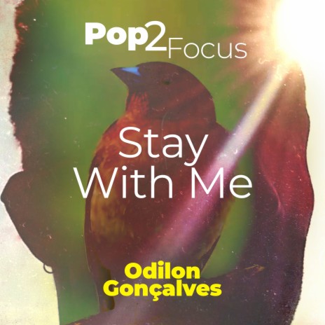 Pop 2 Focus - Stay With Me | Boomplay Music