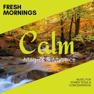 Fresh Mornings - Music for Power Yoga & Concentration