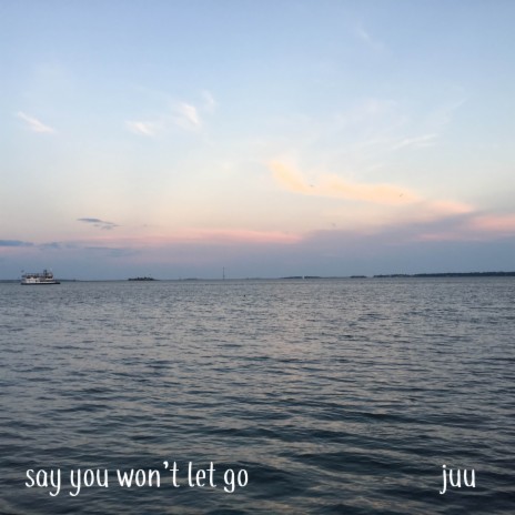 Say You Won't Let Go | Boomplay Music