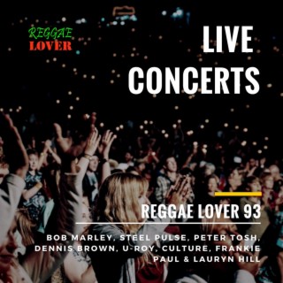 93 - Reggae Lover - Live Reggae Concert Mix
