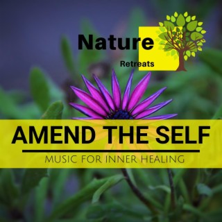 Amend the Self - Music for Inner Healing