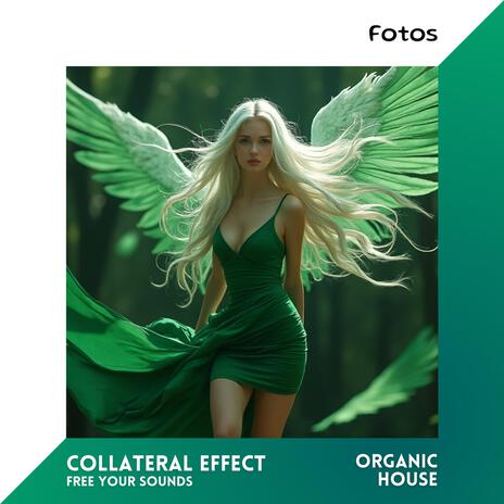 Collateral Effect | Boomplay Music