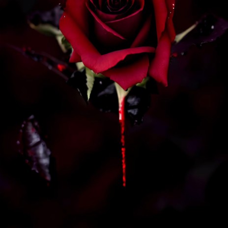 Roseblood