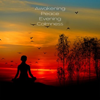Awakening Peace Evening Calmness