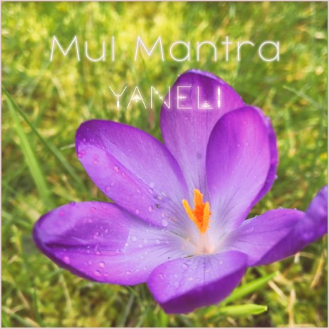 Mul Mantra | Boomplay Music