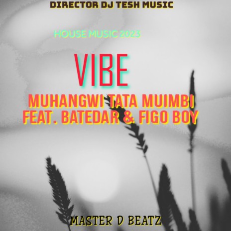 Muhangwi Tata Vibe ft. Batedar & Figo Boy | Boomplay Music