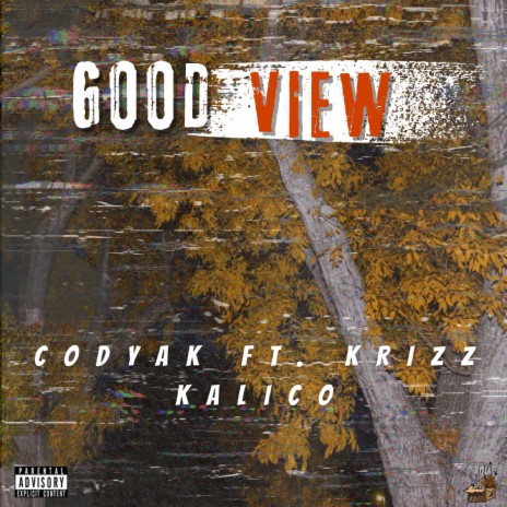 Good View ft. Krizz Kaliko | Boomplay Music