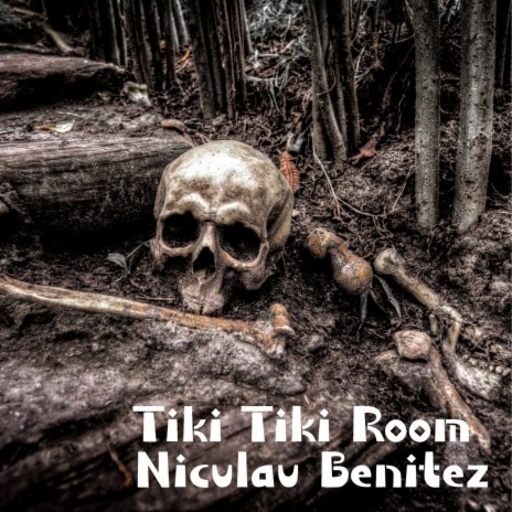 Tiki Tiki Room | Boomplay Music