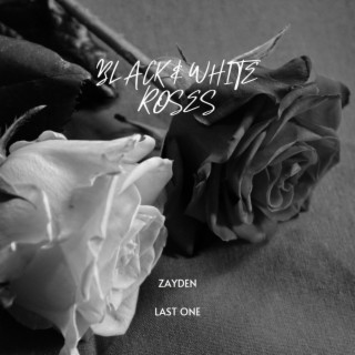 BLACK & WHITE ROSES