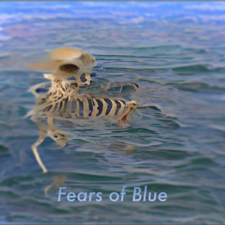 Fears of Blue | Boomplay Music