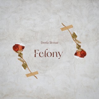 Felony | Boomplay Music
