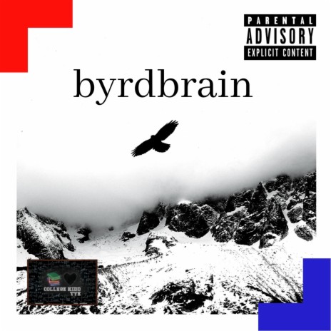 byrdbrain | Boomplay Music