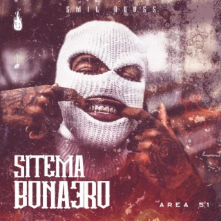 Sistema Bonaero