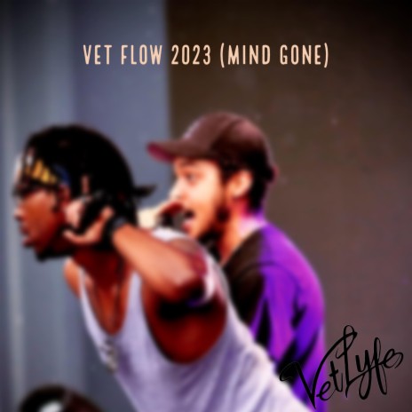 Vet Flow 2023 (Mind Gone) | Boomplay Music