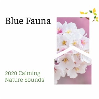 Blue Fauna - 2020 Calming Nature Sounds