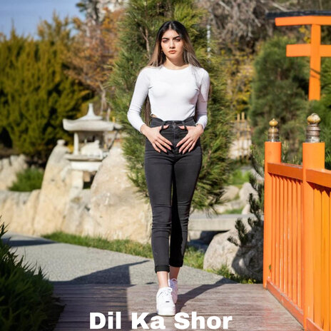 Dil Ka Shor | Boomplay Music