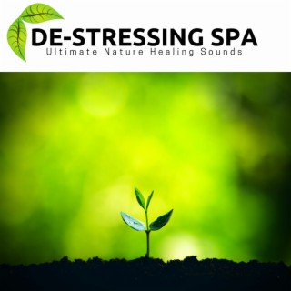 De-Stressing Spa - Ultimate Nature Healing Sounds