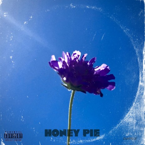 HONEY PIE | Boomplay Music
