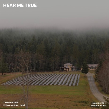 Hear Me True (Acoustic Version) ft. Sylvie Hopkins | Boomplay Music