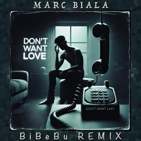 Don't Want Love (BiBeBu Remix) | Boomplay Music