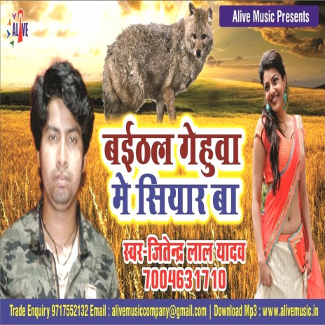 Bayithal Gehuwa Me Siyaar Ba | Boomplay Music