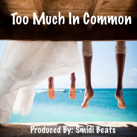 Too Much In Common | Boomplay Music