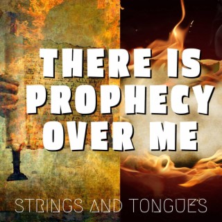 There Is Prophecy Over Me ft. Theophilus Sunday lyrics | Boomplay Music