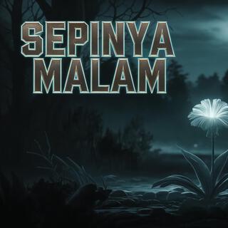 Sepinya Malam