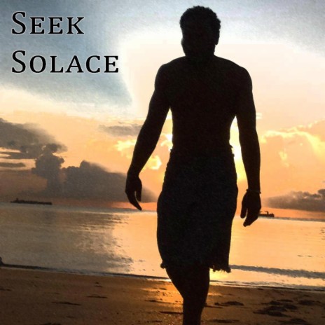 Seek Solace | Boomplay Music