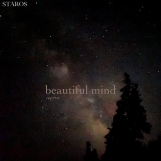 Beautiful Mind (reprise)