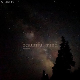 Beautiful Mind (reprise) lyrics | Boomplay Music