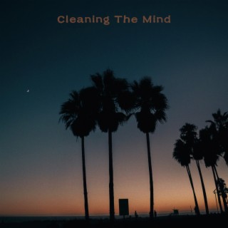 Cleaning The Mind
