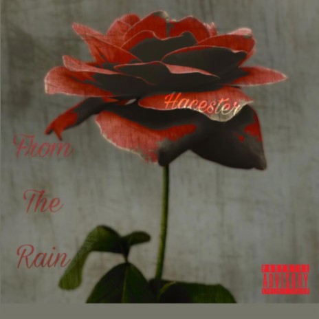 From The Rain | Boomplay Music