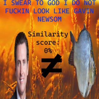 I SWEAR TO GOD I DO NOT FUCKIN LOOK LIKE GAVIN NEWSOM