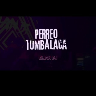 PERREO TUMBALACA