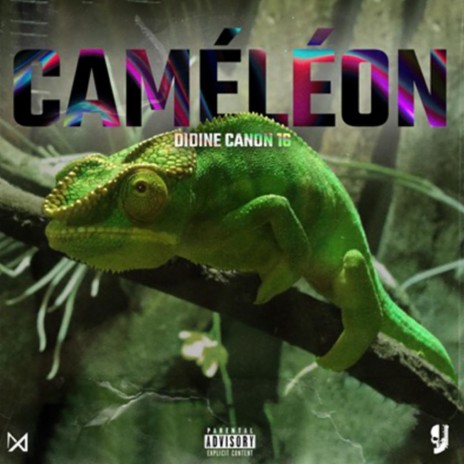 CAMELEON | Boomplay Music