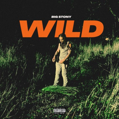 Wild | Boomplay Music