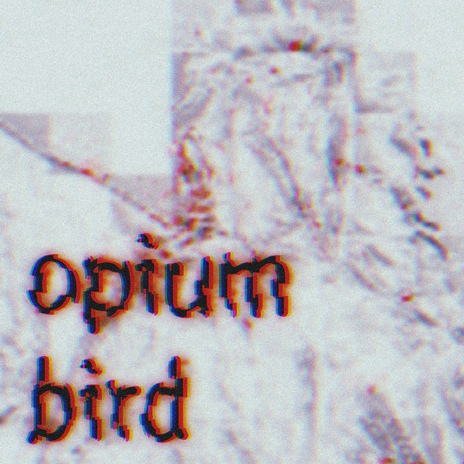 Opium Bird | Boomplay Music