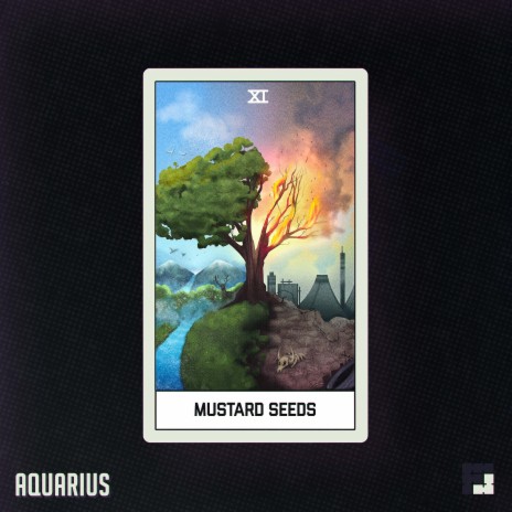 Aquarius // Mustard Seeds | Boomplay Music