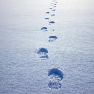 Footprints in the Snow